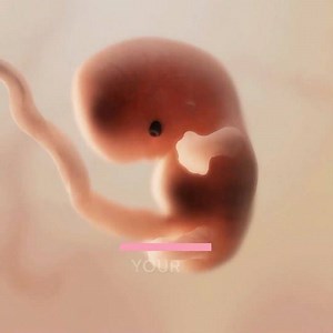 It’s amazing how your baby develops week-by-week inside your womb. . . . #9weekspregnant #ultrasound #3dbaby #scan #baby #embarazo #pregnancy #pregnancyannouncement #pregnancyfacts #insidethewomb #foetus | Pregnancy App