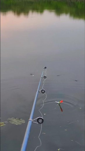 good fishing shorts. #fishing