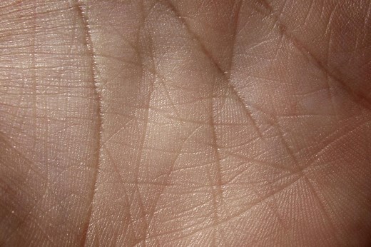 Au microscope : plongée documentaire au cœur de la peau