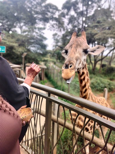 #dimbarefix @Gody Tennor Music #fyp