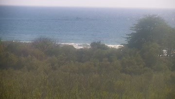 Avellanas Surf Report, Surf Forecast and Surf Cam - Surfline