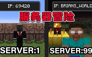 我的世界：99个地址中选一个，你能进入dream的服务器吗？