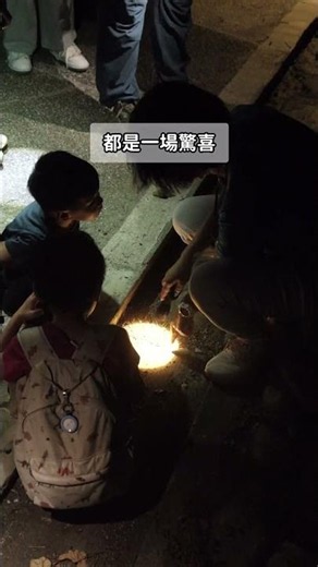 小野柳的夜間生態