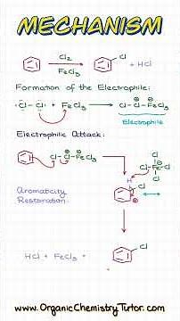 Halogenation of Aromatic Compounds MADE EASY!
