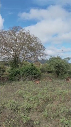 morning vibes ❤️❤️❤️ #descovery #desney #newsong