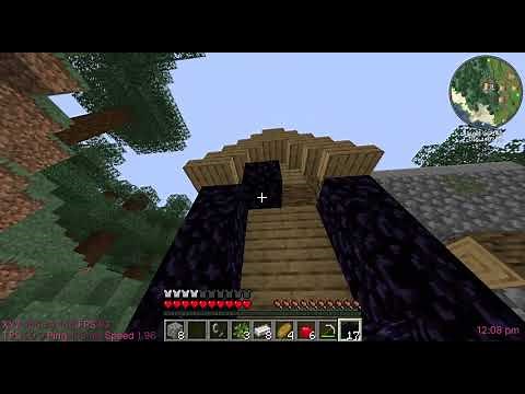 Minecraft 1.17.1 speedrun setseed seed: -3294725893620991126