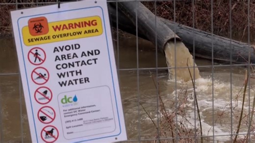 Potomac River E-coli levels skyrocket after 240 million gallons of sewage pour into waterway