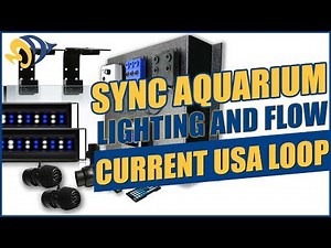 Sync Aquarium Lighting and Flow with the Current USA Loop