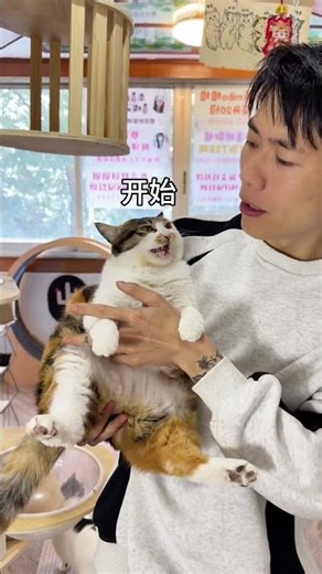 Those who can t even remember the pick-up codes should not remember them#Playful Cat#Trico