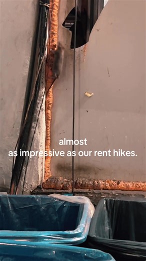 Almost as impressive as our rent hikes! Restabize our apartments destabilize our rats. Rental Ripoff Hearings can’t come soon enough #rentalripoffhearings #rentstabilized