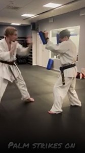 Palm strikes on mitts | Karate training
