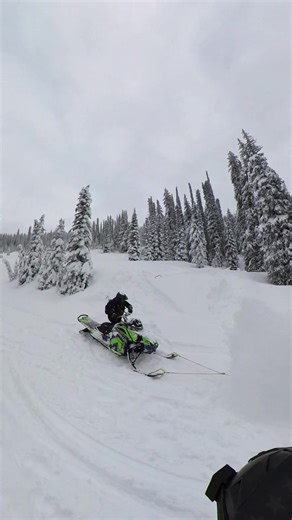 Powder 🏊🏼 | powder