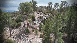 This weekend! Get in on the deal! FREE SHIPPING! Plus 10% OFF! TACOMA BUMPERS ONLY!! | Demello Off-road | Facebook