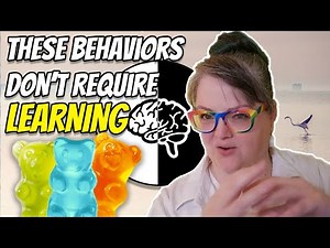 Innate Behavior: Behaviors that don't have to be learned?