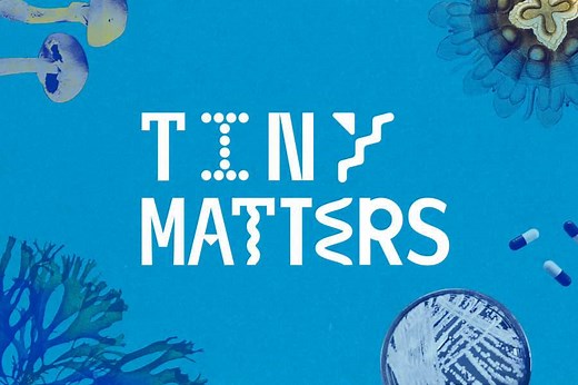 We’ve only eradicated one human infectious disease. Why? - American Chemical Society