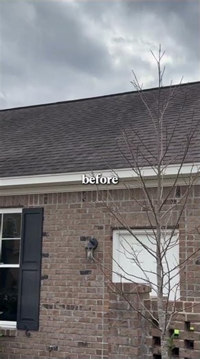 Roof Cleaning Before & After | Oxygen-Powered Soft Wash Removes Black Streaks Instantly | OxyVanta