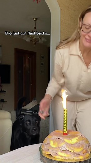 Funny Dog Birthday Celebration - Hilarious Run Back