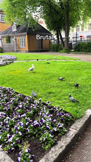 Understanding the Brutal Nature of BPs