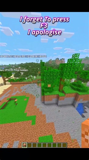 Minecraft Command but I forget to press F3 | Minecarft | #minecraft #minecraftcommand #command