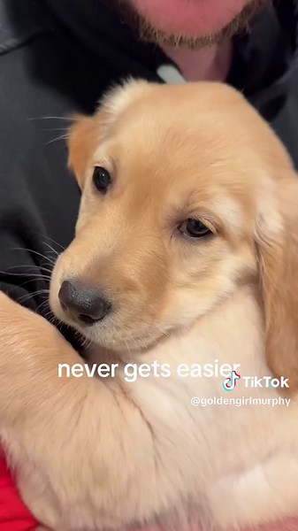 Coping with a Cyclops Puppy: An Emotional Journey