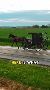 If you want to learn how to survive the next economic collapse, EMP, or any other major disaster all you need to do is learn from the people who wouldn’t even notice them. The Amish live in a world deprived of everything we take for granted. And with this unique book you’ll be able to do the same. The Amish Ways is printed in a very limited edition because that’s all the people who shared their skills and DIY projects agreed to. 🚨 Don’t miss out | Limited Offer 👉 Get your copy while they last 