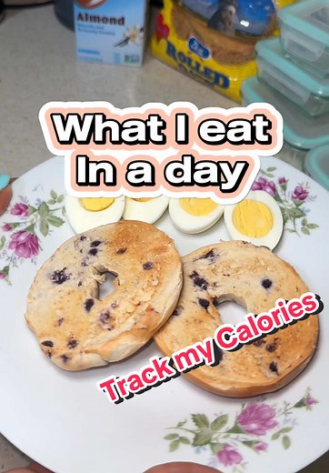 Track My Calories: Daily Meal Tracking with SnapCalorie