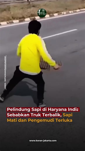 Pada 15 Januari 2026, sebuah insiden vigilantisme sapi terjadi di Haryana, India, ketika sekelompok pelindung sapimenaruh paku/road spike di jalan raya untuk menghentikan truk yang dicurigai mengangkut sapi untuk disembelih. Akibat tindakan ini, ban truk pecah dan kendaraan terguling di jalan tol Kundli‑Manesar‑Palwal (KMP), menimbulkan kecelakaan yang memicu kematian sapi dan membahayakan pengemudi serta kru truk. Kelompok tersebut dikabarkan menahan kru truk sebelum menyerahkannya ke polisi, m