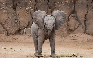 Windows和Linux系统上的PostgreSQL数据库管理 – 第2部分