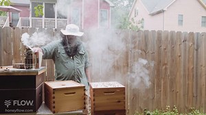 Bobby shares his first Flow Hive harvest & explains what it means to be a beekeeper, not a bee-haver. | Flow Hive