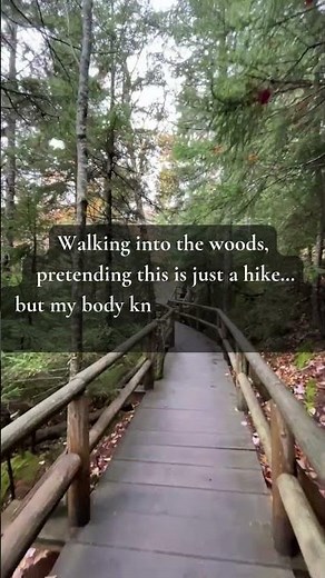 POV: You walk into the woods already thinking about the tent.