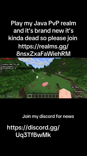 #minecraft #realm #javapvponbedrock