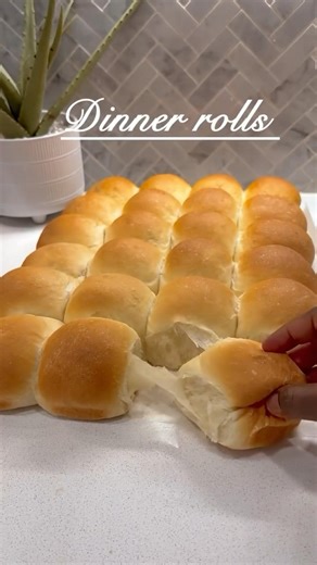 Best dinner rolls ever !