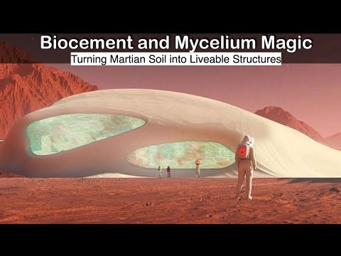 Radiation-Proof Mushroom Houses on Mars? NASA's Phase III Breakthrough Explained