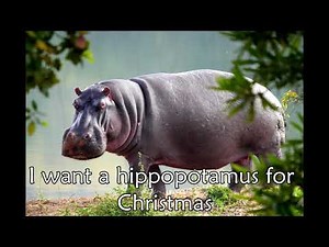 I Want a Hippopotamus for Christmas (lyric video)