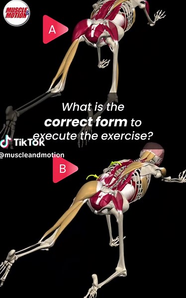 Enhance Your Core with the Bird Dog Exercise! 💪 Ready to take your core strength to the next level? The bird dog exercise is a fantastic way to engage your core and improve stability. What is the correct form to execute the exercise, 🅰️or 🅱️? The answer is 🅰️! Here’s why: ✅ Proper Form: 👉 Keep Your Torso Still: Ensure your torso remains stable while you lift your hand and the opposite leg. 👉 Engage Your Core Fully: Maintaining a steady torso maximizes core muscle engagement and enhances mo