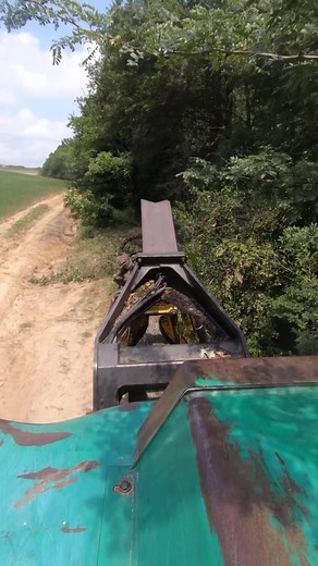 118K views · 969 reactions | #timberjack #460 | Boys In The Woods | Facebook