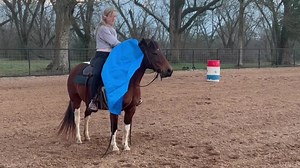 Wide Open Race Horses on Reels