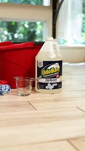 For a fresh, clean home! 💚 OdoBan® is the multi-purpose solution for bathrooms, kitchens, fabrics, pet odors and more. Now in Night Ice fragrance. 🧊 | OdoBan