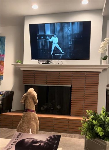 (Mostly) Eleanor Watching Holiday Inn (1942)