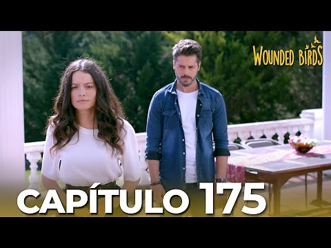 Omer Sueños Robados | Capítulo 175
