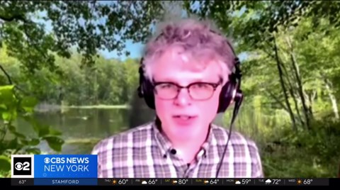 Cicada Brood 14 to emerge in 2025 after 17 years underground