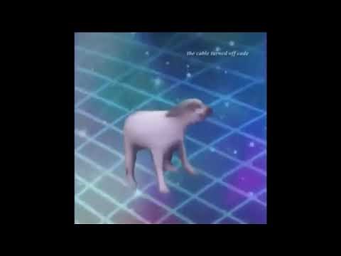 Dance till your dead(1 hour)