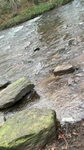 Explore the Newest Mountain Bikes for Adventure