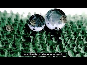 The Magic of Lotus Leaves: Water-Repellent Wonders