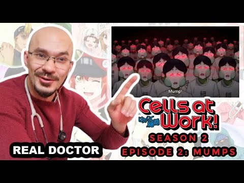 REAL Doctor reaction to Cells at Work! Anime review | Season 2 Episode 2 | Acquired Immunity - Mumps