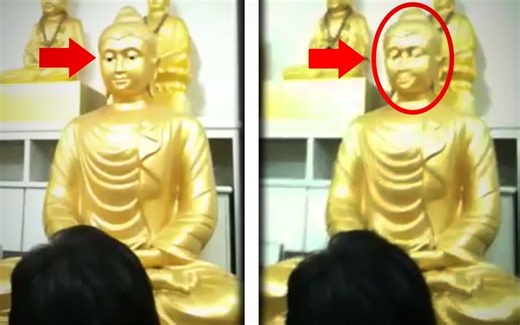 16个被拍下来会动的神秘物体