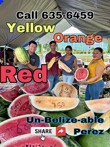 55K views · 963 reactions | Exploring Belize’s delicious watermelons...