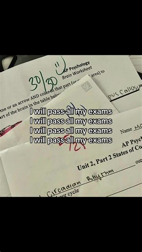 Motivational Study Affirmations for Exam Success