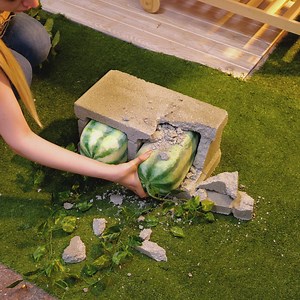 Grow Your Dream Garden: Watermelon Paradise | 5-Minute Crafts Family