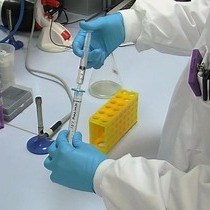 Video: Subcloning Plus Insertion SPI - A Novel Recombineering Method for the Rapid Construction of Gene Targeting Vectors